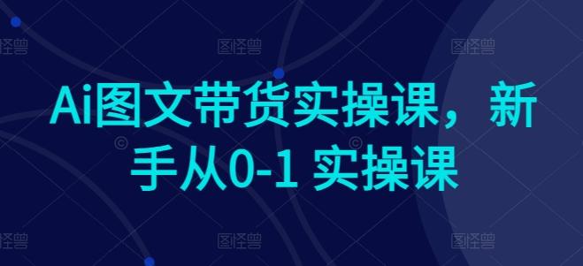 Ai图文带货实操课，新手从0-1 实操课-一新网创