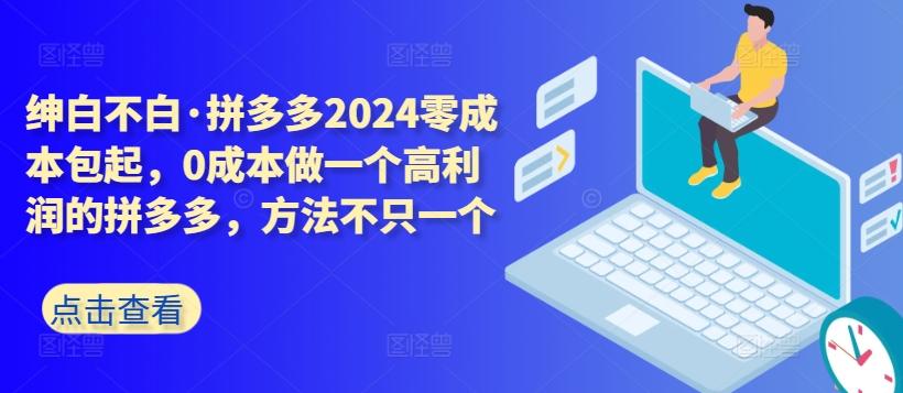 拼多多2024零成本包起，0成本做一个高利润的拼多多，方法不只一个-一新网创