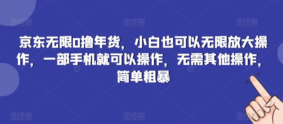 京东无限0撸年货，小白也可以无限放大操作，一部手机就可以操作，无需其他操作，简单粗暴-一新网创