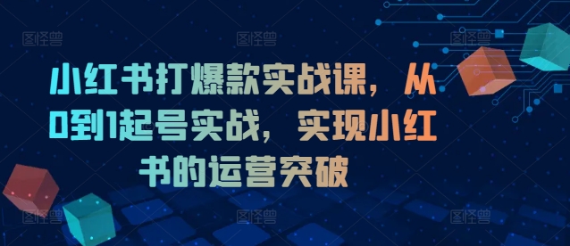 小红书打爆款实战课，从0到1起号实战，实现小红书的运营突破-一新网创