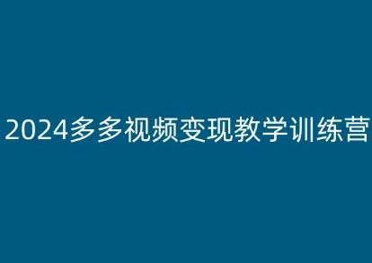 2024多多视频变现教学训练营，新手保姆级教程，适合新手小白-一新网创