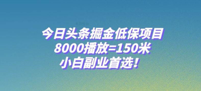 今日头条掘金低保项目，8000播放=150米，小白副业首选【揭秘】-一新网创
