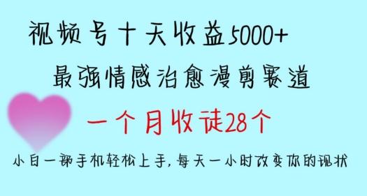 十天收益5000+，多平台捞金，视频号情感治愈漫剪，一个月收徒28个，小白一部手机轻松上手【揭秘】-一新网创