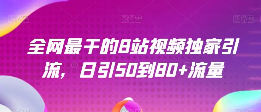 全网最干的B站视频独家引流，日引50到80+流量【揭秘】-一新网创