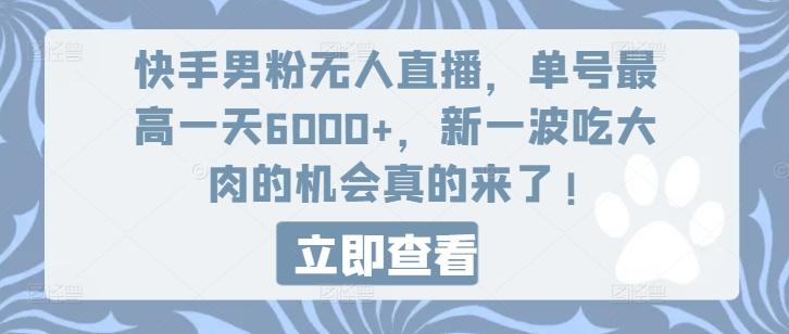 快手男粉无人直播，单号最高一天6000+，新一波吃大肉的机会真的来了-一新网创