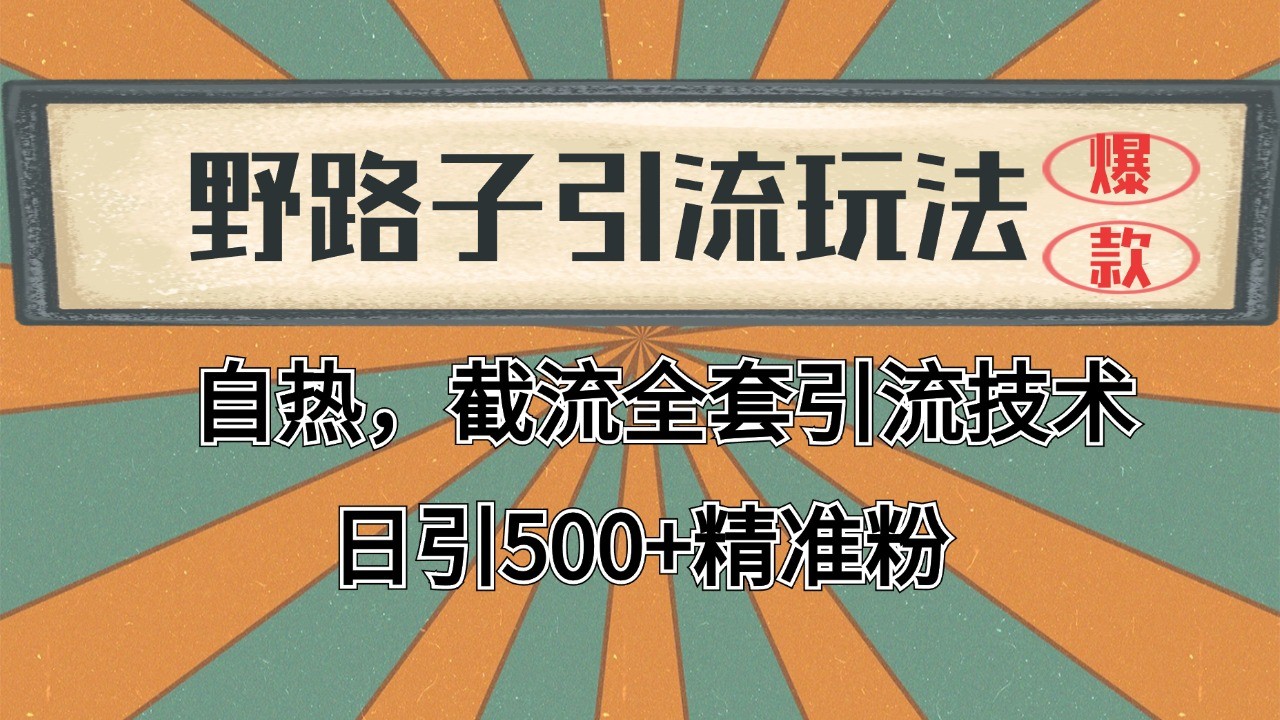 抖音小红书视频号全平台引流打法，全自动引流日引2000+精准客户-一新网创