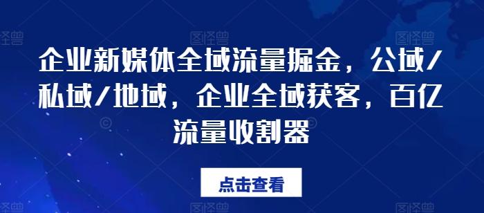 企业新媒体全域流量掘金，公域/私域/地域，企业全域获客，百亿流量收割器-一新网创