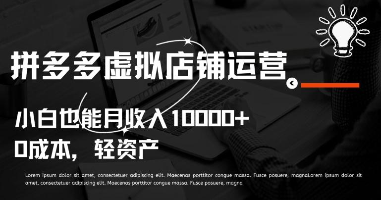 拼多多虚拟店铺运营小白也能月收入10000+【揭秘】-一新网创