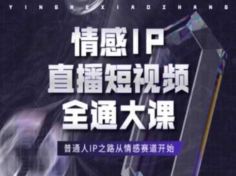 情感IP直播短视频全通大课，普通人IP之路从情感赛道开始-一新网创