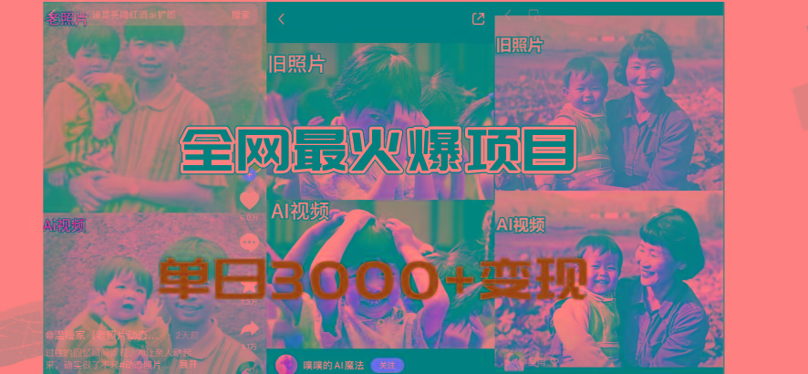 全网爆火的AI让老照片动起来教程，蹭热点日赚3000+，内含免费工具一键...-一新网创