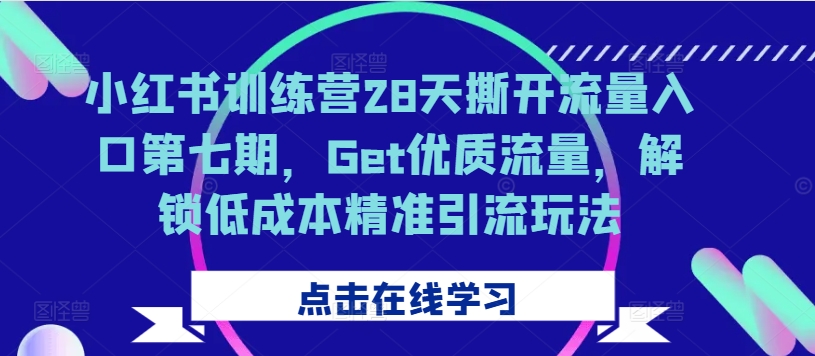 小红书训练营28天撕开流量入口第七期，Get优质流量，解锁低成本精准引流玩法-一新网创