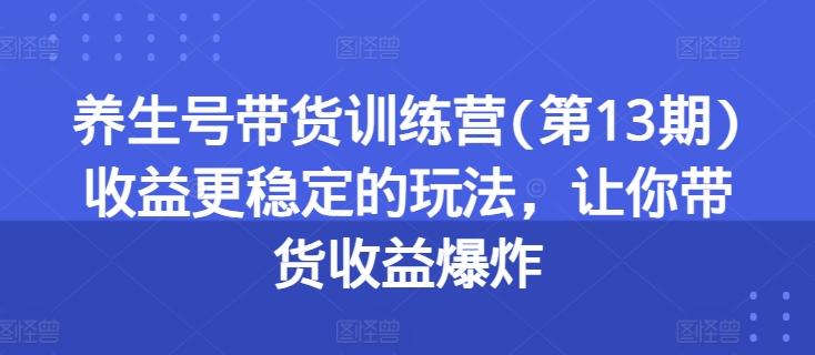 养生号带货训练营(第13期)收益更稳定的玩法，让你带货收益爆炸-一新网创