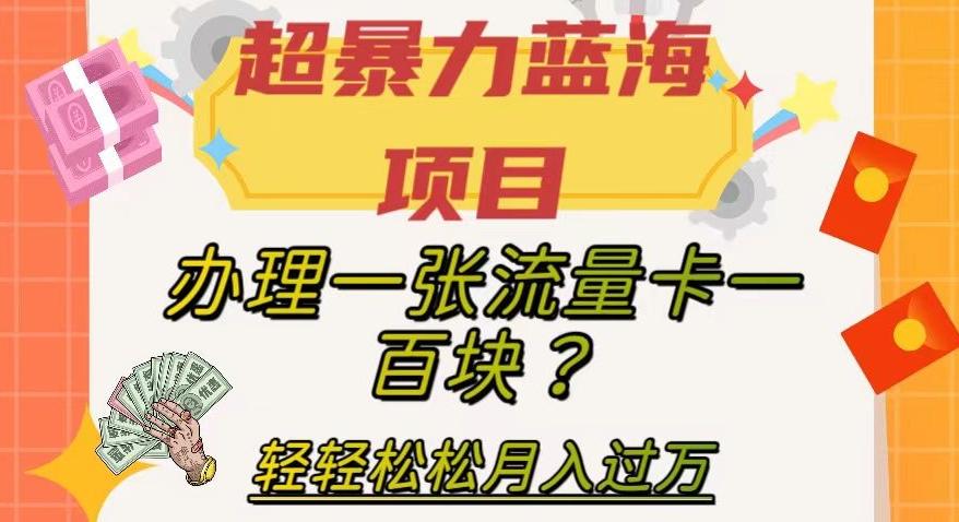 超暴力蓝海项目，办理一张流量卡一百块？轻轻松松月入过万，保姆级教程【揭秘】-一新网创