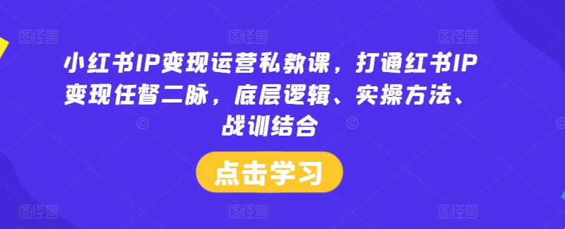 小红书IP变现运营私教课，打通红书IP变现任督二脉，底层逻辑、实操方法、战训结合-一新网创