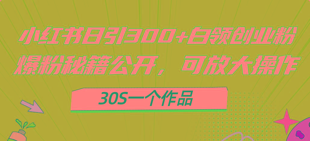 小红书日引300+高质白领创业粉，可放大操作，爆粉秘籍！30s一个作品-一新网创