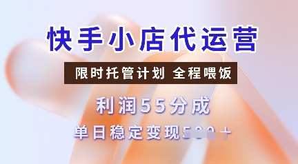快手小店代运营，限时托管计划，收益55分，单日稳定变现多张【揭秘】-一新网创
