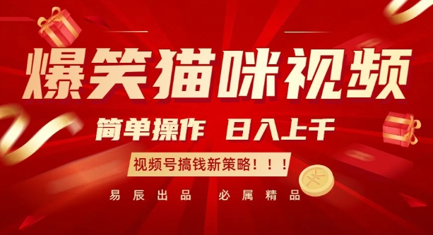 爆笑猫咪视频：简单操作，日入过K，视频号搞钱新策略【揭秘】-一新网创