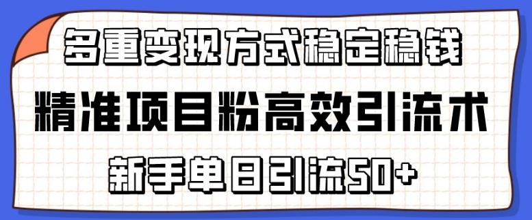 精准项目粉高效引流术，新手单日引流50+，多重变现方式稳定赚钱【揭秘】-一新网创