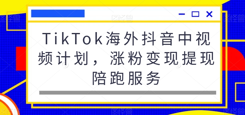 TikTok海外抖音中视频计划，涨粉变现提现陪跑服务-一新网创