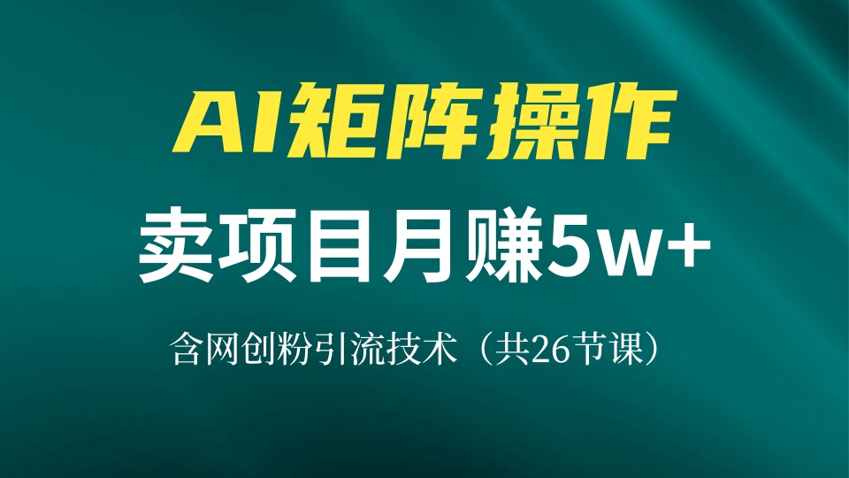 网创IP打造课，借助AI卖项目月赚5万+，含引流技术(共26节课-一新网创