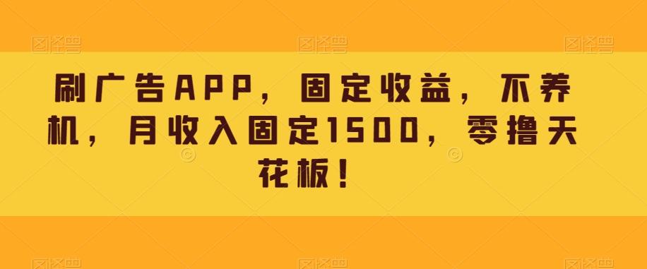 刷广告APP，固定收益，不养机，月收入固定1500，零撸天花板！-一新网创