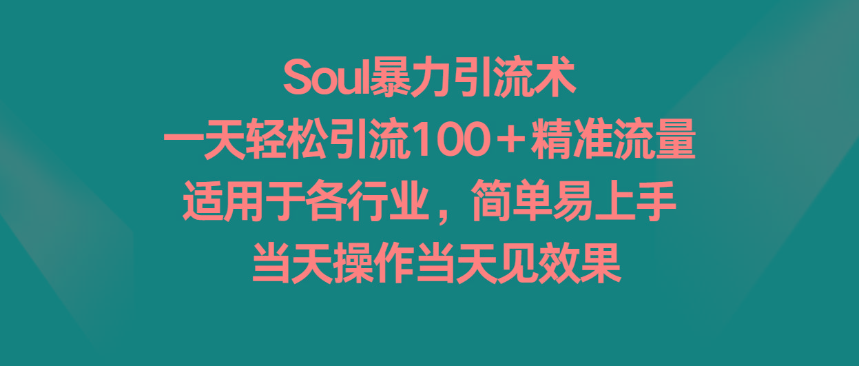 Soul暴力引流术，一天轻松引流100＋精准流量，适用于各行业，简单易上手！-一新网创