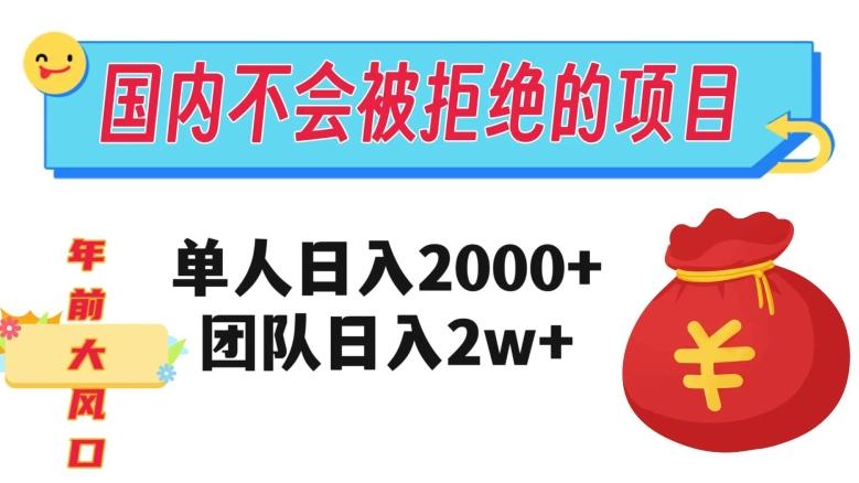 在国内不怕被拒绝的项目，单人日入2000，团队日入20000+【揭秘】-一新网创