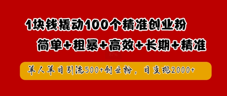 1块钱撬动100个精准创业粉，简单粗暴高效长期精准，单人单日引流500+创业粉，日变现2k【揭秘】-一新网创