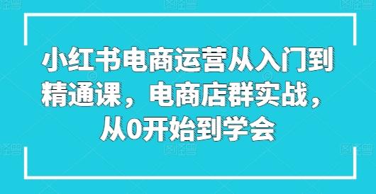 小红书电商运营从入门到精通课，电商店群实战，从0开始到学会-一新网创