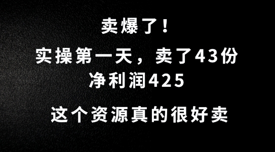 这个资源，需求很大，实操第一天卖了43份，净利润425【揭秘】-一新网创