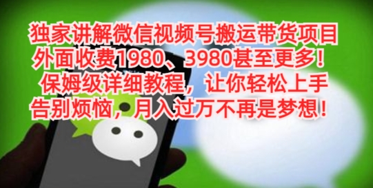 独家讲解微信视频号搬运带货项目，保姆级详细教程-一新网创