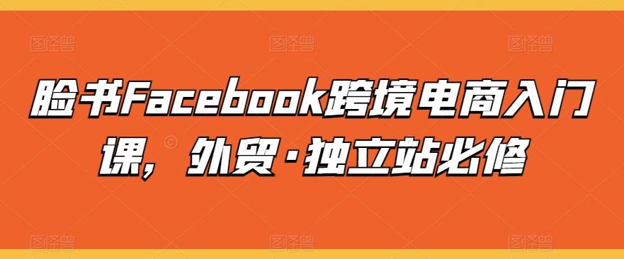 脸书Facebook跨境电商入门课，外贸·独立站必修-一新网创