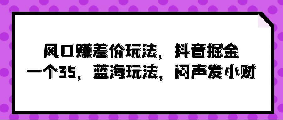 (10022期)风口赚差价玩法，抖音掘金，一个35，蓝海玩法，闷声发小财-一新网创