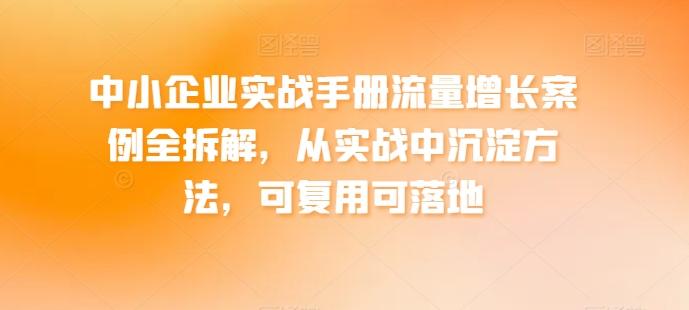 中小企业实战手册流量增长案例全拆解，从实战中沉淀方法，可复用可落地-一新网创