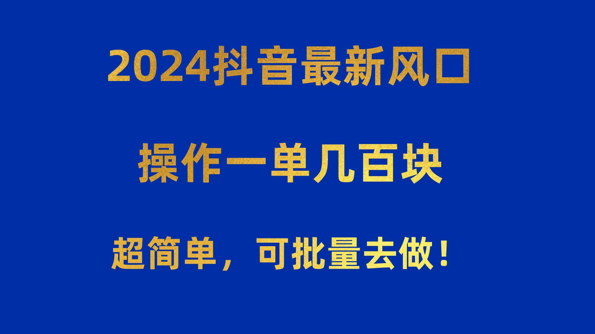 2024抖音最新风口！操作一单几百块！超简单，可批量去做！！！-一新网创