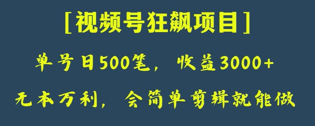 日收款500笔，纯利润3000+，视频号狂飙项目，会简单剪辑就能做【揭秘】-一新网创