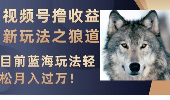 视频号撸收益新玩法之狼道，目前蓝海玩法，轻松月入过万【揭秘】-一新网创