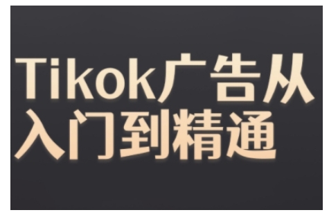 Tiktok Ads实操教程，Tiktok广告从入门到精通-一新网创