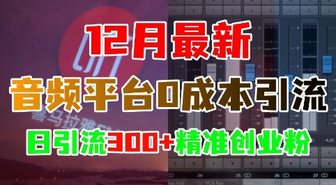 12月最新：音频平台0成本引流，日引流300+精准创业粉-一新网创