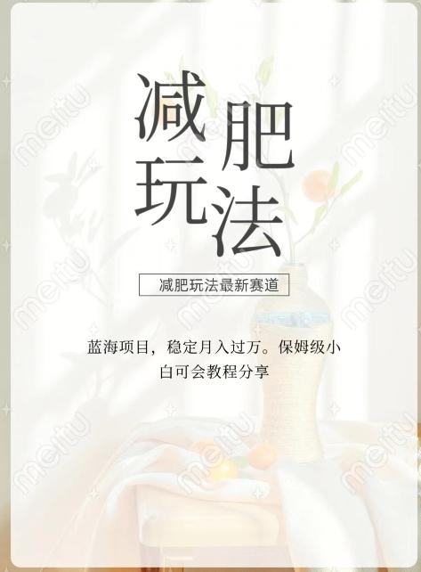 减肥流量主新玩法，轻松月入1W，可矩阵操作收入翻倍-一新网创