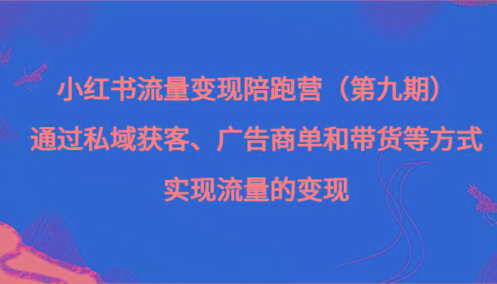 小红书流量变现陪跑营（第九期）通过私域获客、广告商单和带货等方式实现流量变现-一新网创