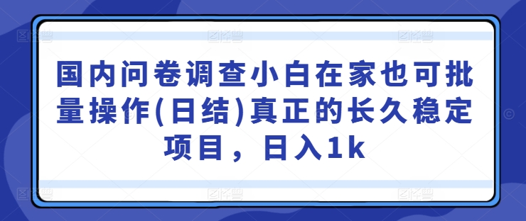 国内问卷调查小白在家也可批量操作(日结)真正的长久稳定项目，日入1k【揭秘】-一新网创