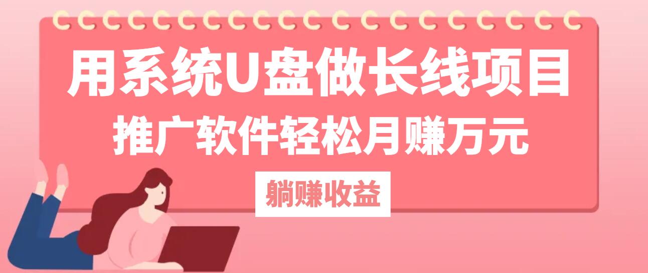 用系统U盘做长线项目，推广软件轻松月赚万元-一新网创