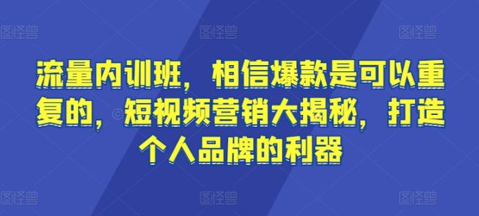 流量内训班，相信爆款是可以重复的，短视频营销大揭秘，打造个人品牌的利器-一新网创