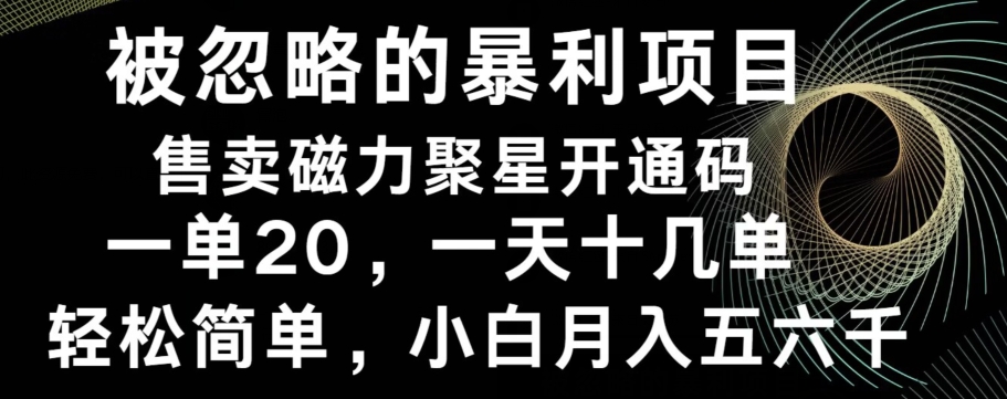 被忽略的暴利项目！售卖磁力聚星开通码，一单20，一天十几单，轻松月入五六千-一新网创