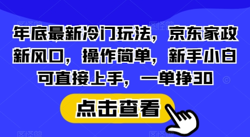 年底最新冷门玩法，京东家政新风口，操作简单，新手小白可直接上手，一单挣30【揭秘】-一新网创