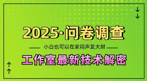 2025问卷调查最新工作室技术解密：一个人在家也可以闷声发大财，小白一天2张，可矩阵放大【揭秘】-一新网创