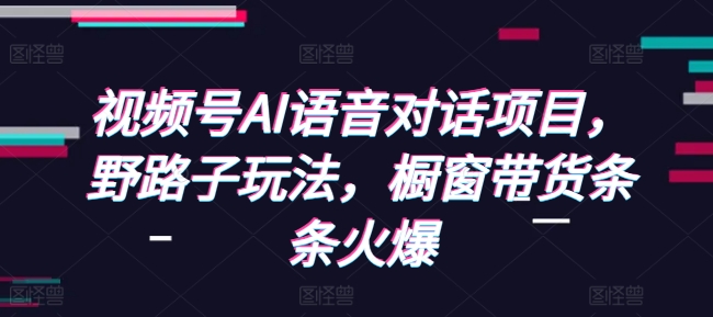 视频号AI语音对话项目，野路子玩法，橱窗带货条条火爆-一新网创