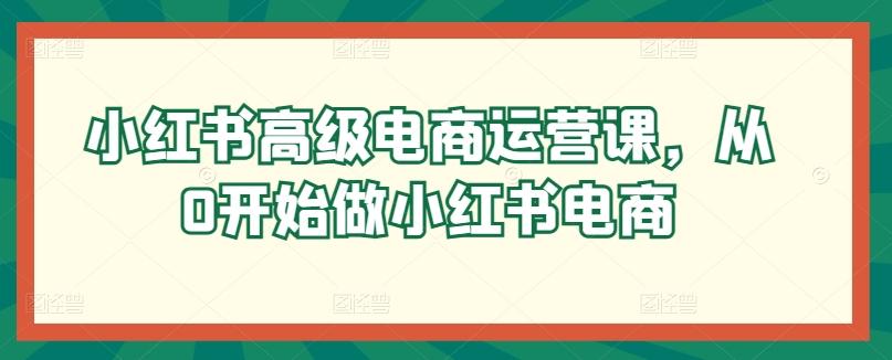 小红书高级电商运营课，从0开始做小红书电商-一新网创