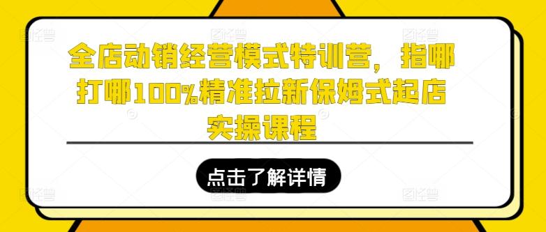 全店动销经营模式特训营，指哪打哪100%精准拉新保姆式起店实操课程-一新网创
